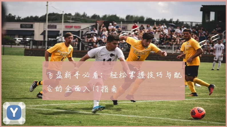 飞盘新手必看：轻松掌握技巧与配合的全面入门指南