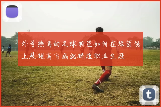 外号热鸟的足球明星如何在绿茵场上展翅高飞成就辉煌职业生涯