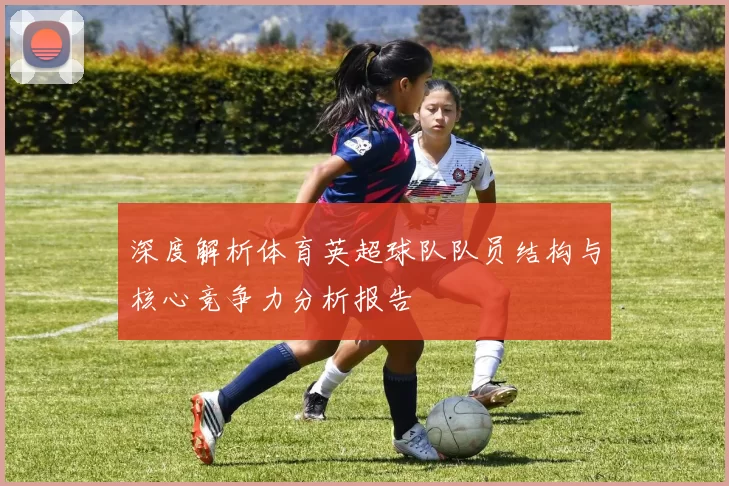 深度解析体育英超球队队员结构与核心竞争力分析报告