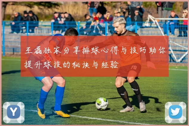 王磊独家分享排球心得与技巧助你提升球技的秘诀与经验