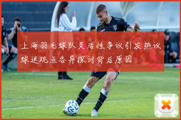 上海羽毛球队灵活性争议引发热议球迷观点各异探讨背后原因