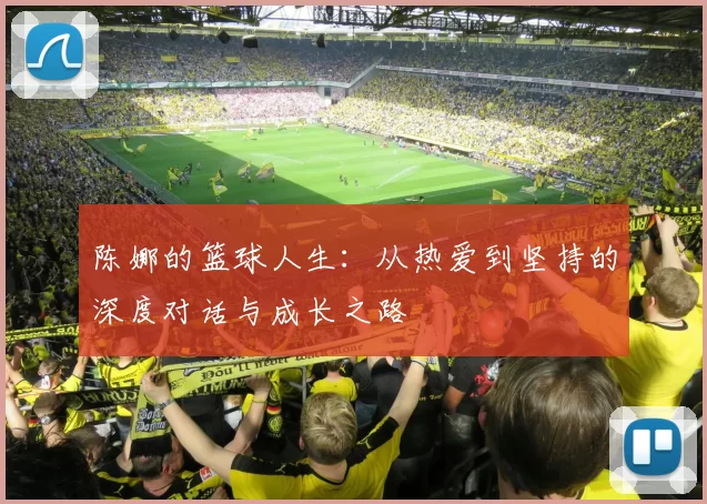 陈娜的篮球人生：从热爱到坚持的深度对话与成长之路
