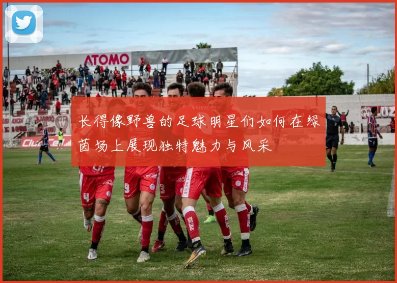 长得像野兽的足球明星们如何在绿茵场上展现独特魅力与风采
