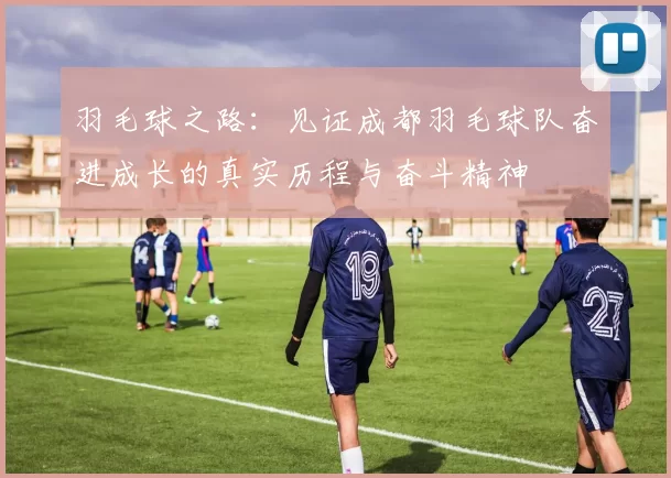 羽毛球之路：见证成都羽毛球队奋进成长的真实历程与奋斗精神