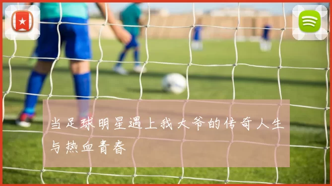 当足球明星遇上我大爷的传奇人生与热血青春