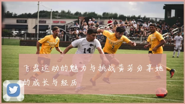 飞盘运动的魅力与挑战黄芳分享她的成长与经历