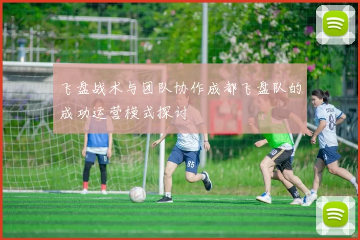 飞盘战术与团队协作成都飞盘队的成功运营模式探讨