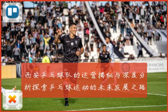 西安乒乓球队的运营揭秘与深度分析探索乒乓球运动的未来发展之路