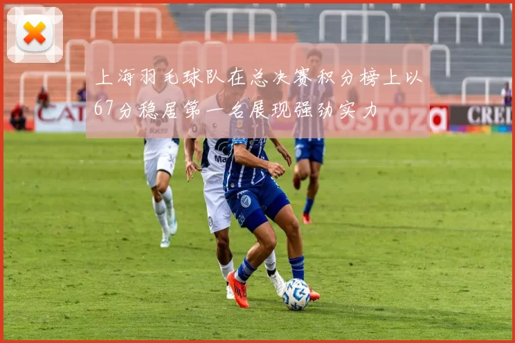 上海羽毛球队在总决赛积分榜上以67分稳居第一名展现强劲实力