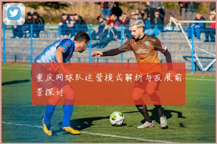 重庆网球队运营模式解析与发展前景探讨