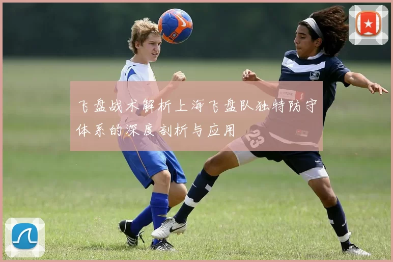 飞盘战术解析上海飞盘队独特防守体系的深度剖析与应用