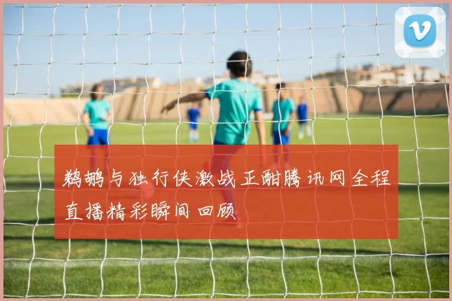 鹈鹕与独行侠激战正酣腾讯网全程直播精彩瞬间回顾