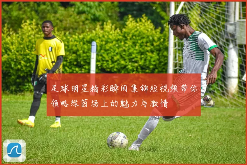足球明星精彩瞬间集锦短视频带你领略绿茵场上的魅力与激情