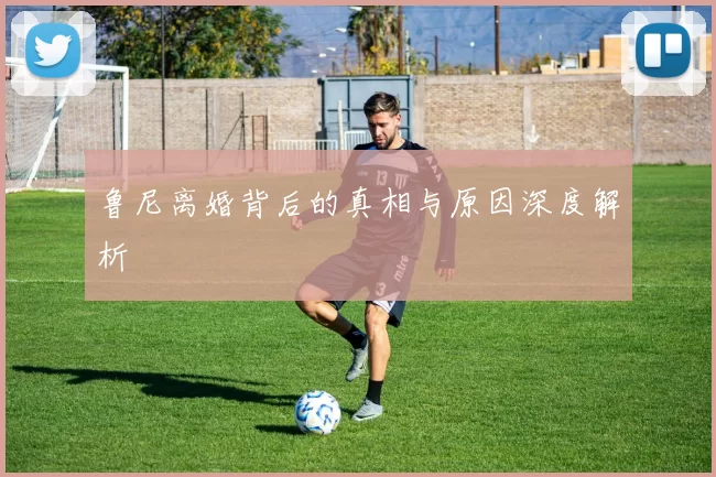 鲁尼离婚背后的真相与原因深度解析