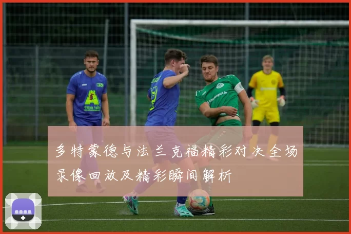 多特蒙德与法兰克福精彩对决全场录像回放及精彩瞬间解析