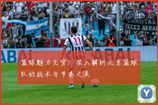 篮球魅力无穷：深入解析北京篮球队的战术与节奏之美