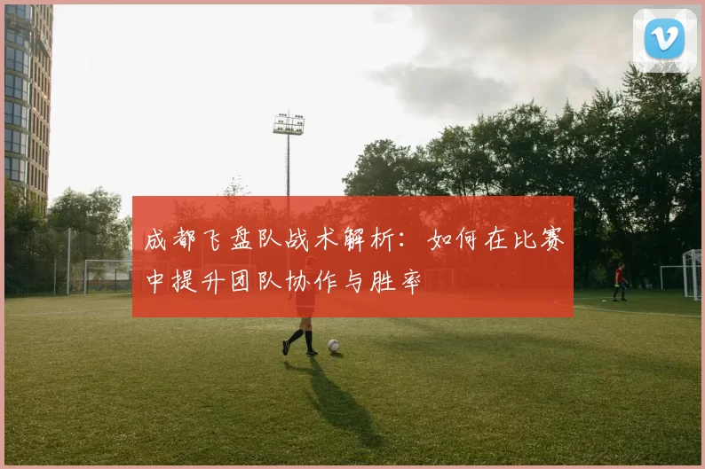 成都飞盘队战术解析：如何在比赛中提升团队协作与胜率