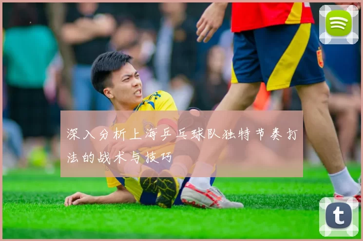 深入分析上海乒乓球队独特节奏打法的战术与技巧
