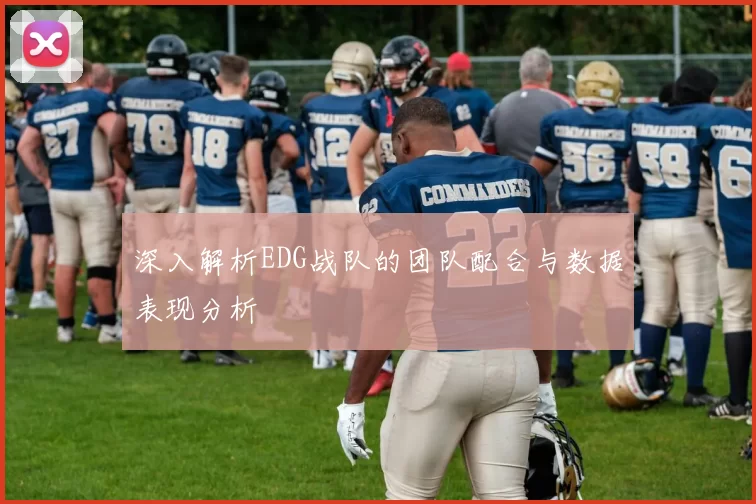 深入解析EDG战队的团队配合与数据表现分析