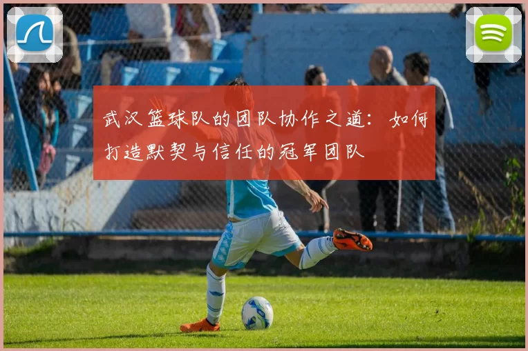 武汉篮球队的团队协作之道：如何打造默契与信任的冠军团队