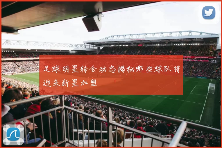 足球明星转会动态揭秘哪些球队将迎来新星加盟