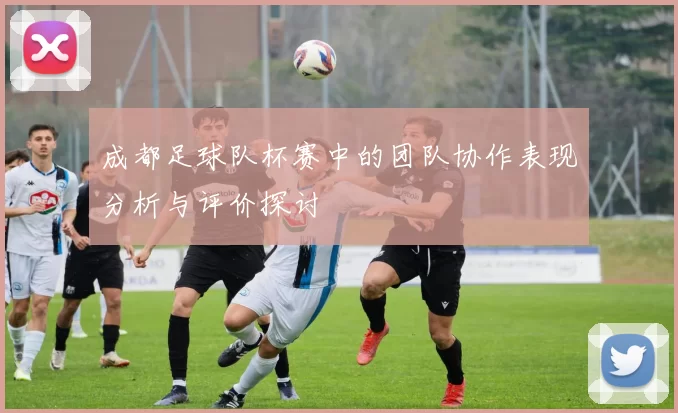 成都足球队杯赛中的团队协作表现分析与评价探讨